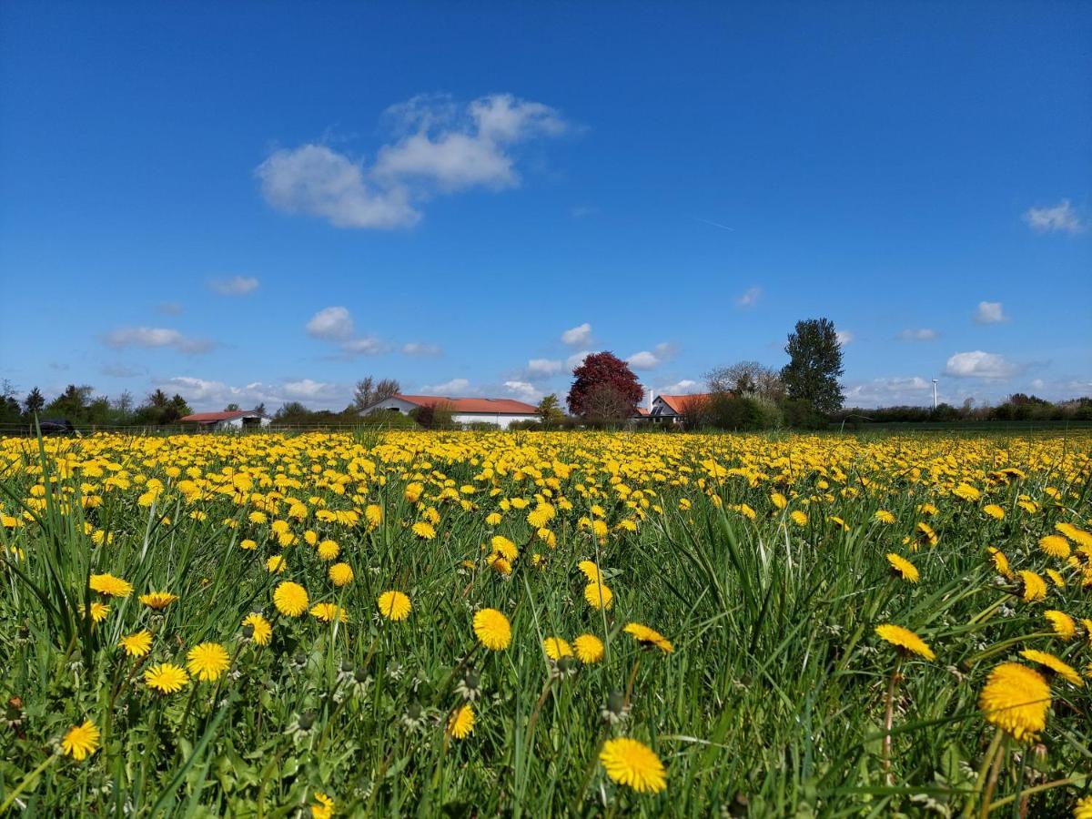 Ildhu Inn Kvaerndrup Bagian luar foto